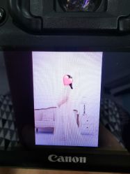 -星宝贝儿童摄影