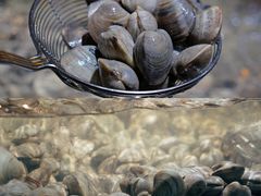 -遇上西雅图多融合海鲜自助餐厅(中房金谊广场店)