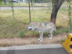 -秦皇岛野生动物园
