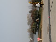 -宿豫区运河湾森林动物园