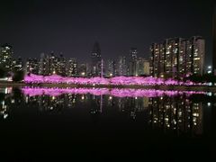 -西北湖绿化广场
