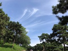 -北京西山国家森林公园