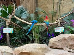 -杭州开元森泊度假乐园