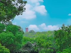 -惠山古镇·寄畅园