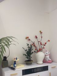 -WENDY·温迪皮肤管理