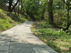 -北京鹫峰国家森林公园