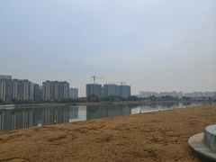 -金沙湖公园