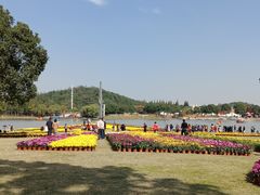 -上海月湖雕塑公园