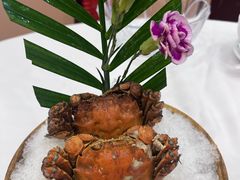 -丰尔粥食·顺德鱼生·干蒸排骨顺德菜(大良分店)