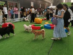 -东莞松山湖万象汇