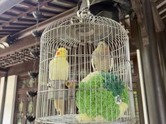 -金海华·华宴江南(斜塘店)