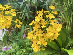 -北京植物园-展览温室