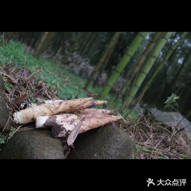 金华男神王勇庚的吃住行