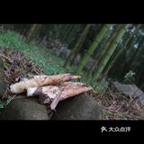 金华男神王勇庚的吃住行