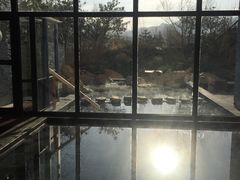 -大连大和馆观山阁温泉酒店