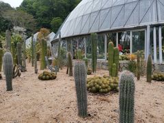 -深圳仙湖植物园