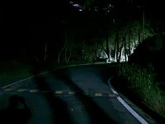 -火炉山森林公园