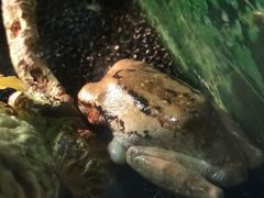 -上海大自然野生昆虫馆(东方明珠·爬宠昆虫探索中心)