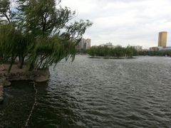 -迎泽公园