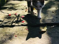 -驿舍·民國老营房院子私房菜(科学会堂店)