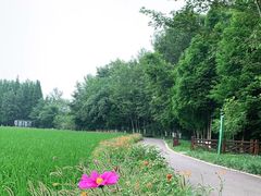 -桤木河湿地公园