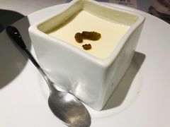 双皮奶-汤城小厨•粤菜•靓汤(金宝街店)
