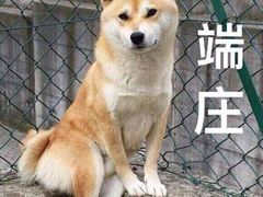 -渝味晓宇火锅(合川路店)