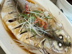 清蒸白丝鱼-状元楼(金溪路店)