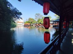 -侨美·唐荔园·40年地道粤菜