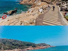 -广东惠东海龟国家级自然保护区