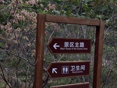 -大岭沟猕猴桃谷风景区