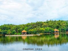 -清迈夜间动物园