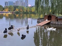 -西海子公园