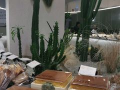 -OUR Bakery(SKP-S店)