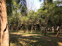 -白沙门生态公园