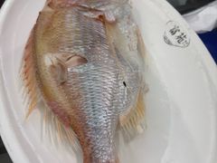 -吴记富苑(朝阳店)