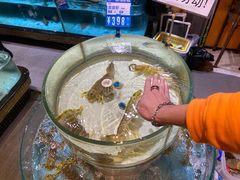 -强记海鲜·大排档(蛇口新街店)