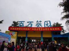-百万葵园