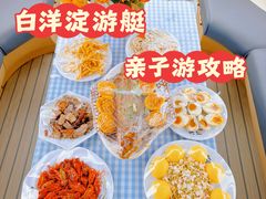 -白洋淀景区