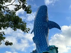 -珠海长隆海洋王国