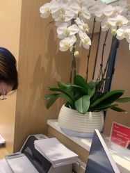 -Yestar杭州艺星医疗美容医院