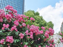 -黄浦路(地铁站)