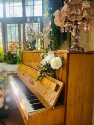 -三河市薇拉风情婚纱摄影店