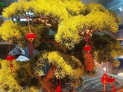 -炊江南·上海菜(国展华漕店)