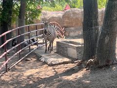 -齐齐哈尔龙沙动植物园
