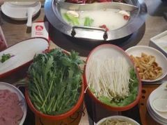 -彤德莱火锅(商圣嘉源店)