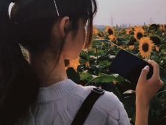 -映月湖中央公园