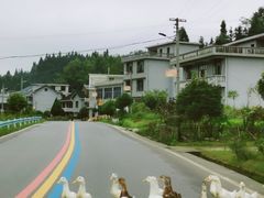 -紫鹊界梯田景区