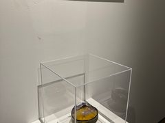 -苏州本色美术馆