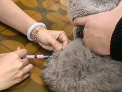 -美联众合动物医院·24h京西诊疗中心